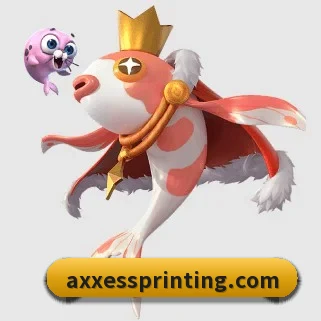 星空xk·(中国)体育 APP